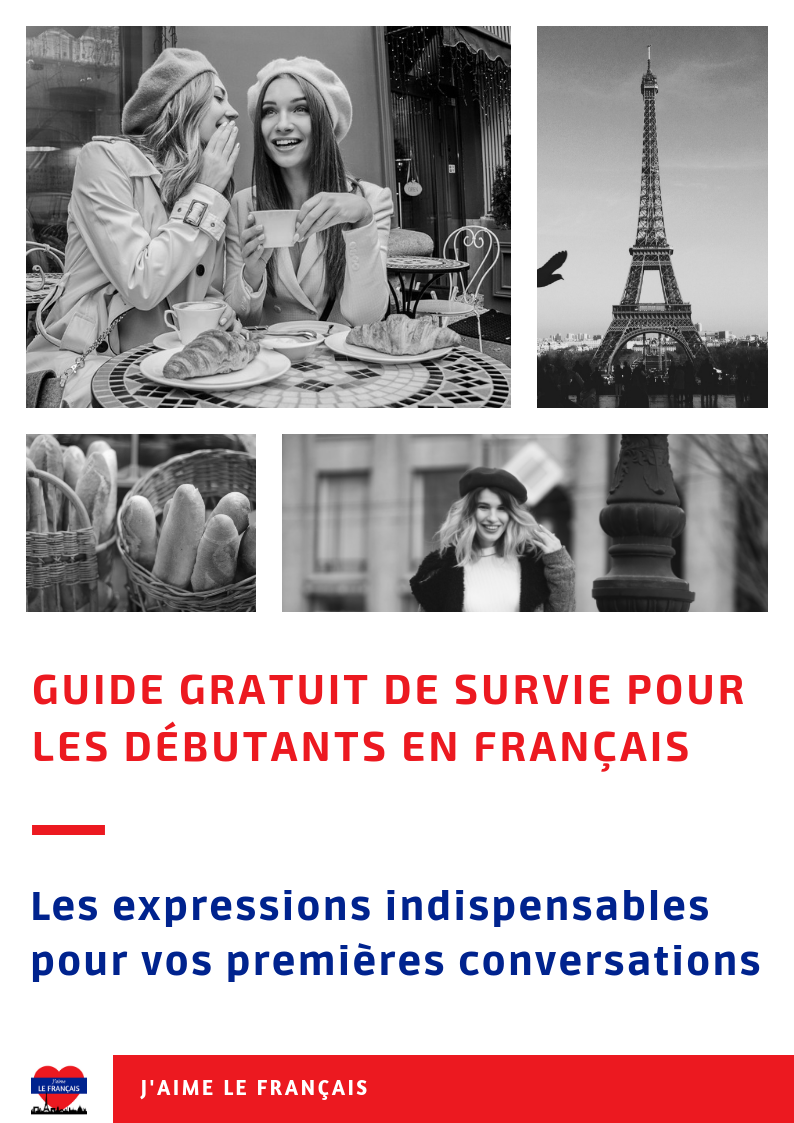 Guide gratuit de survie pour les débutants en français - 160 mots et expressions indispensables pour réussir vos premières conversations en français