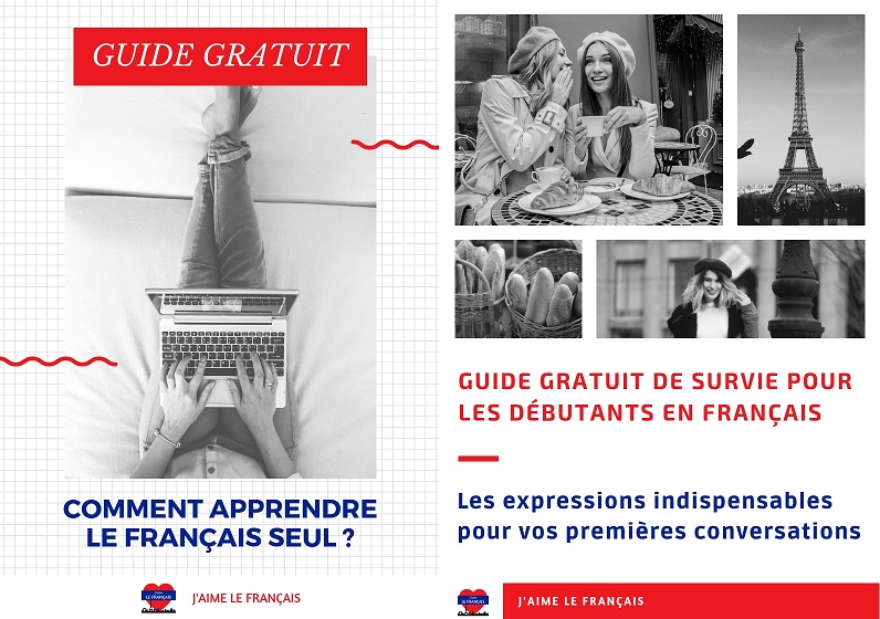 2 guides gratuits pour apprendre le français - Comment apprendre le français seul ? - Guide de survie pour les débutants en français - 160 expressions indispensables pour réussir vos premières conversations